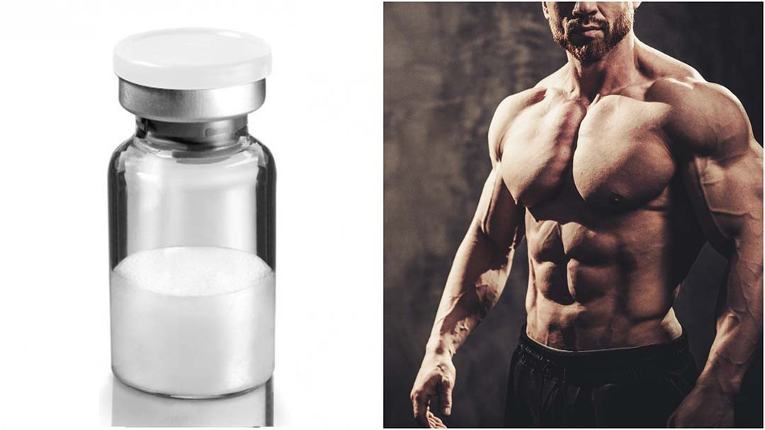 Muscle Growth Gh Peptides Ipamorelin powder 99% Purity