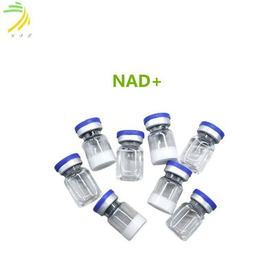 95% NAD+ 750mg/Vial Peptide White Lyophilized Powder CAS 53-84-9