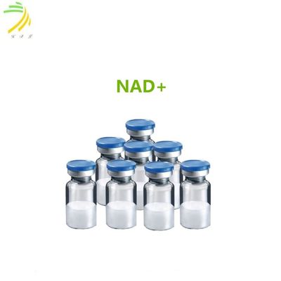 663.43 Anti-aging Nicotinamide Adenine Dinucleotide (NAD) supplement China